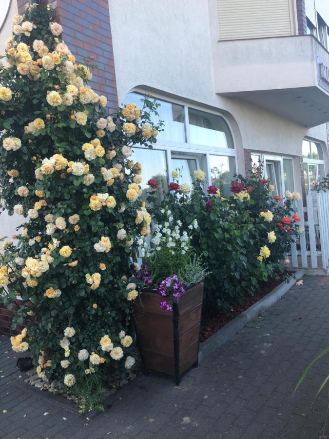 Rezydencja Lux Rewa Bagian luar foto
